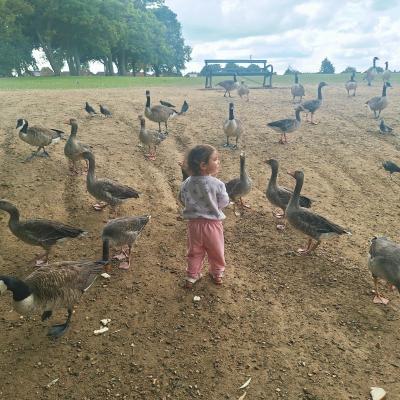 Image from Bright Skys Nursery