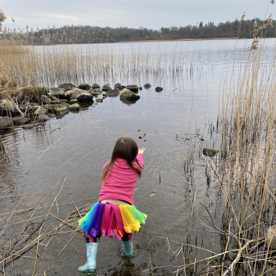 Image from Universal Guardian