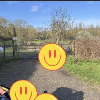 Image from Mel