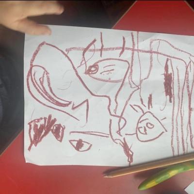 Image from VITO1