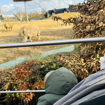 Image from Teeny turtles