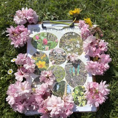 Image from Amelia
