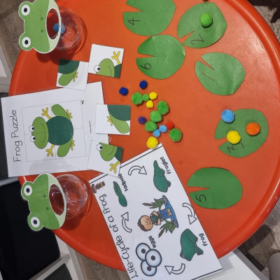 Image from Lizzie