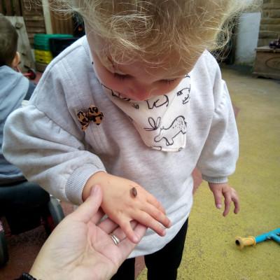 Image from Little Wellies