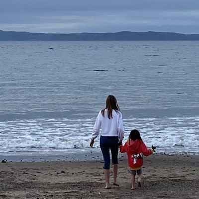 Image from Universal Guardian