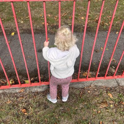 Image from Carly