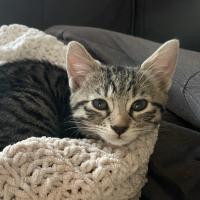 Molly