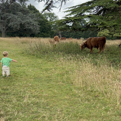 Image from Pippa