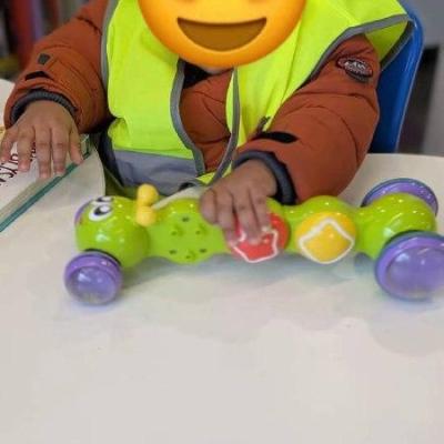 Image from ExcellenceGloNursery