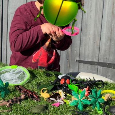 Image from First Steps Learning