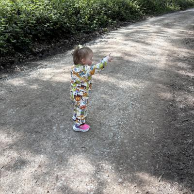 Image from Alisha