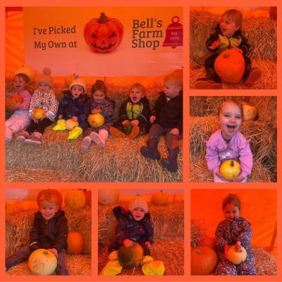 Image from Bears2019