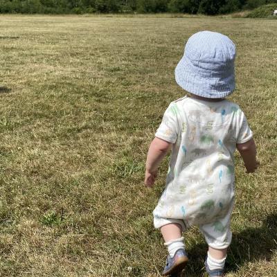 Image from Lisa Ireland