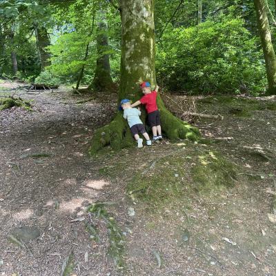 Image from Susannah 