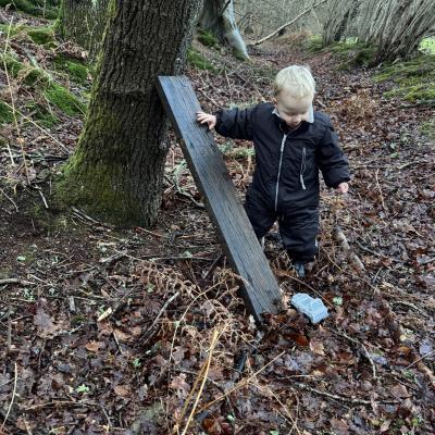 Image from LittleBarn