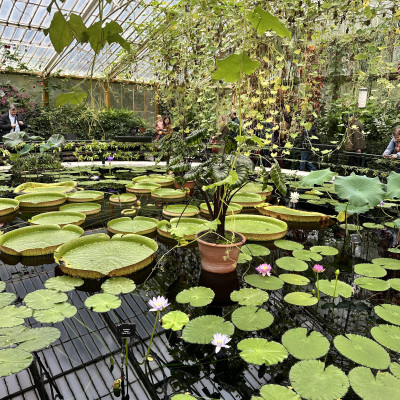 Image from Wendys childminding