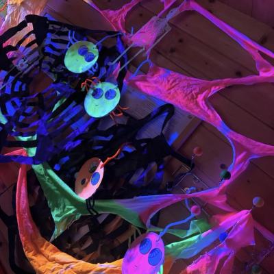 Image from ColSal