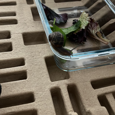 Image from Home from Home