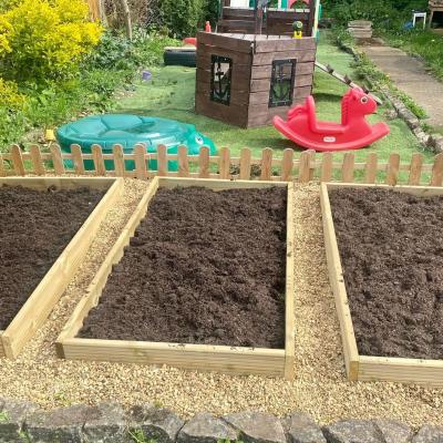 Image from Nicolachenery