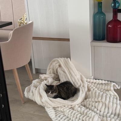Image from Sephie