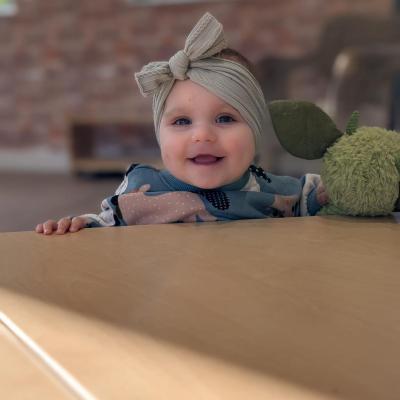 Image from The Mount