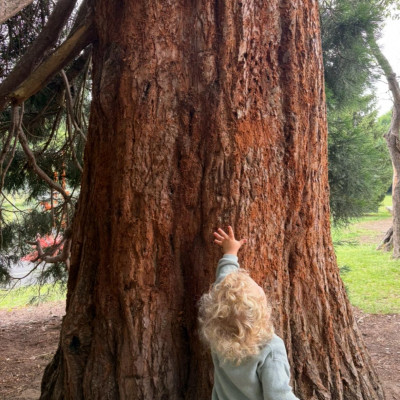 Image from Marion Harding