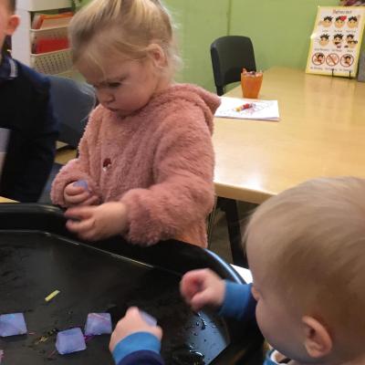 Image from Rose Garden Nursery