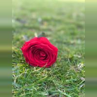 Farhana