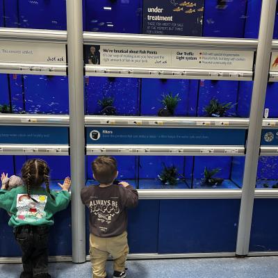 Image from Little Wildflowers