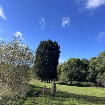 Image from Nichola
