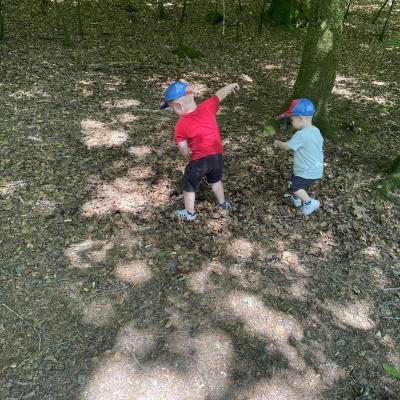 Image from Susannah 