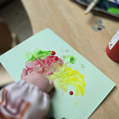 Image from Rainbow Ridg Nursery