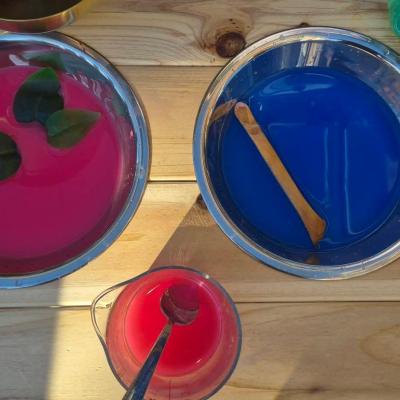 Image from Waverley House