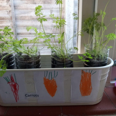 Image from Waldemar Childcare