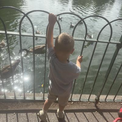 Image from Liz