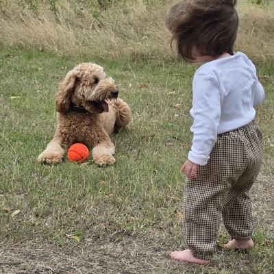 Image from jane