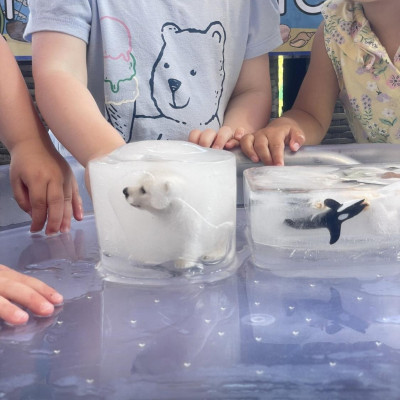 Image from First Steps Learning