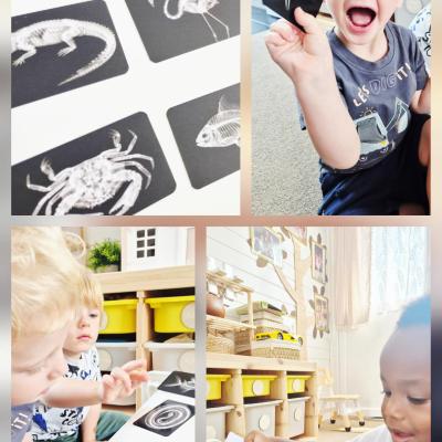 Image from Teddy Day Childcare