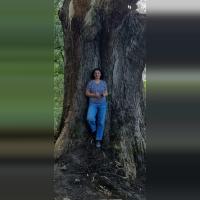 Vica