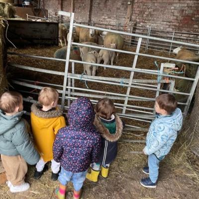 Image from Bears2019