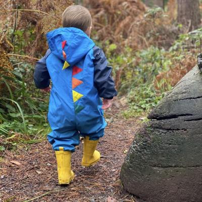 Image from Lisa Ireland