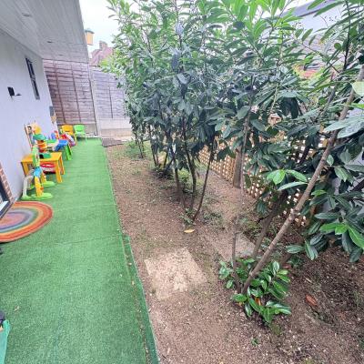 Image from Ilaria 