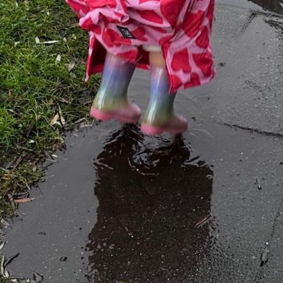 Image from Chrisfish