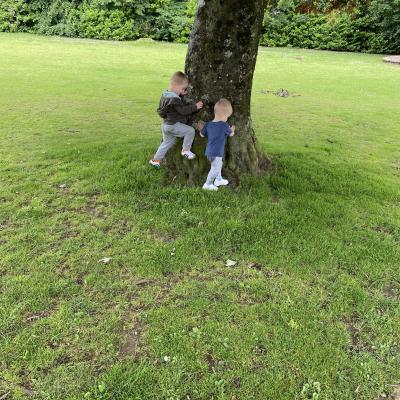 Image from Susannah 