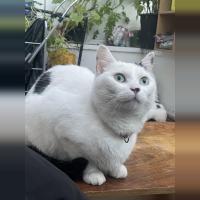 Fatima