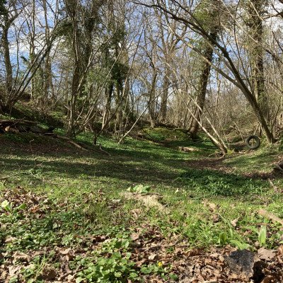 Image from Demeter