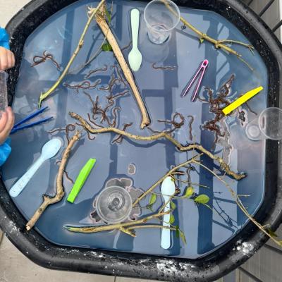 Image from LittleLearners