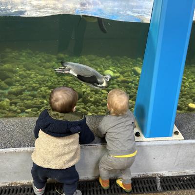 Image from PeaceofMindChildcare