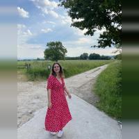 Orsi