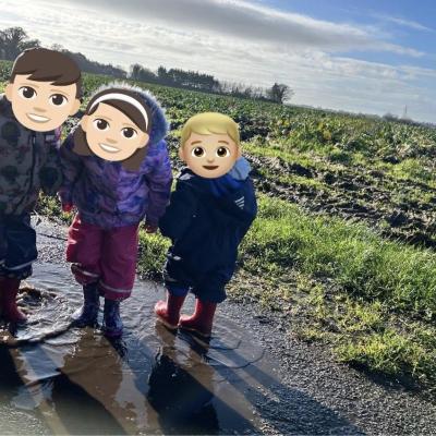 Image from JoJo